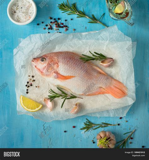 Fresh Raw Fish Tilapia Image And Photo Free Trial Bigstock