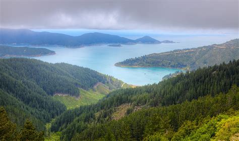 Marlborough Sounds Photograph By Alexey Stiop