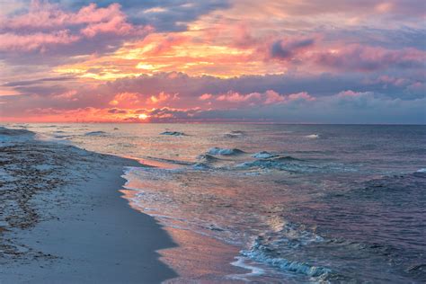 Wildlife Lover Do Not Miss To Visit The Gulf Islands National Seashore