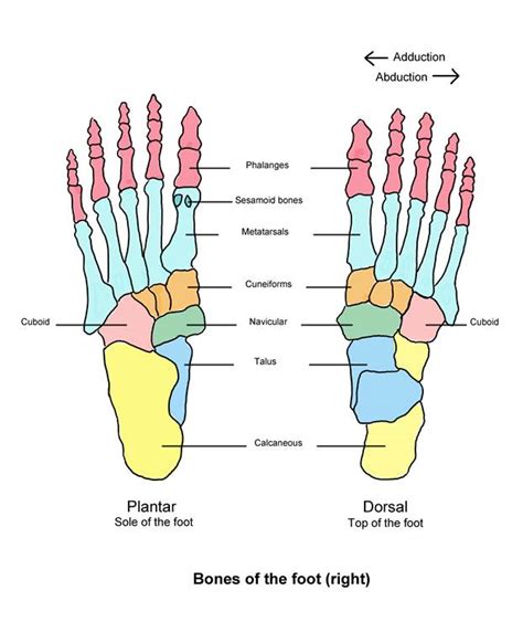 How To Have Beautiful Healthy Feet Banish Bunions And Other