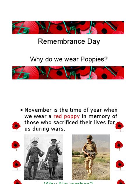 Remembrance Day Why Do We Wear Poppies Pdf