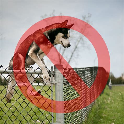 Houdini Proof Dog Proofer Fence Extension System Kit