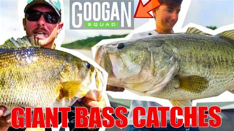 We did not find results for: Googan Squad BEST Bass Fishing CATCHES of ALL TIME ...