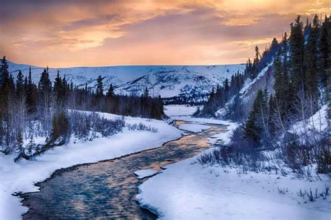 Alaska In Winter 2023 Top 8 Things To Do During Winters