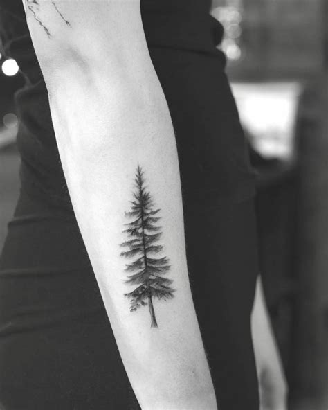 Top 103 White Pine Tree Tattoo