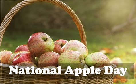 Happy National Apple Day 2023 Wishes Quotes Messages Activities