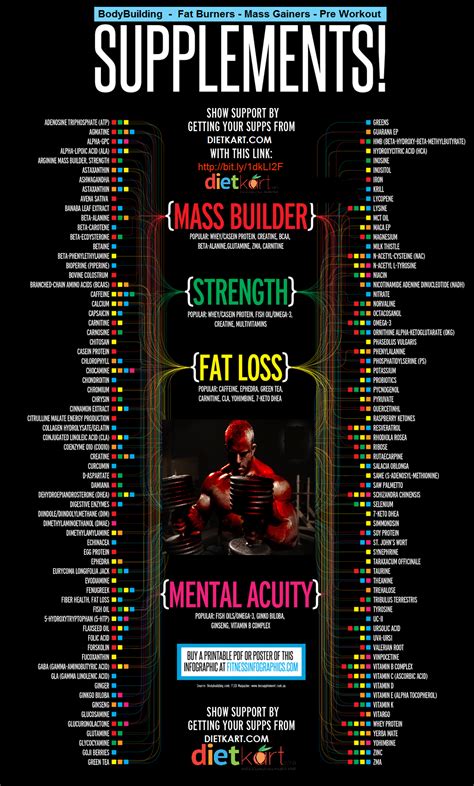 Complete Supplement Info For Bodybuilders Infographic On Behance