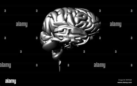 3d Highly Detailed Animation Of A Human Brain Stock Photo Alamy