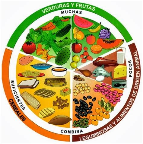 Nutrilibres Alimentos Protectores