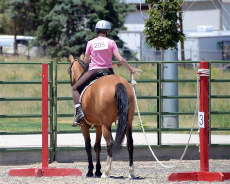 20 Best Working Equitation Obstacles Images On Pinterest Horses Show
