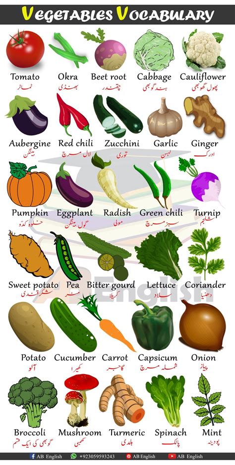 Vegetables Vocabulary Learn Vegetables Names In English With Urdu Artofit