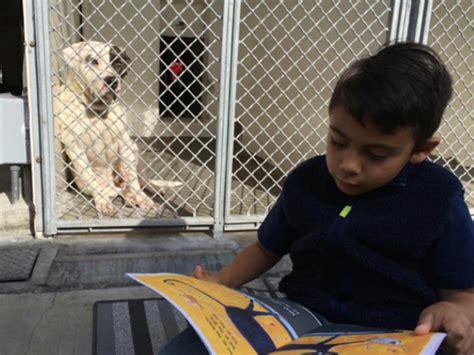 Boy With Autism Reads To Rescue Dogs To Help Them Find A New Home The