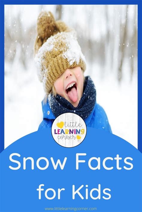 25 Fun Snow Facts For Kids Little Learning Corner