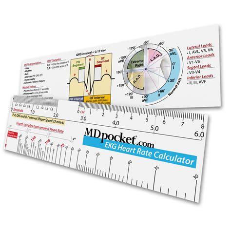 Ekg Heart Rate Calculator Ruler Printable Ruler Actual Size