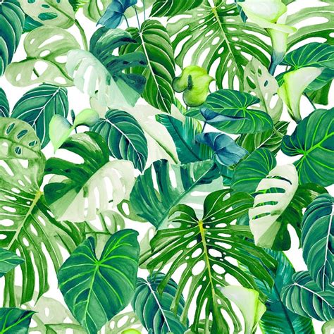 Papel Pintado Tropical Verde