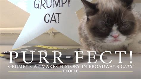 The Worlds Grumpiest Cat 40 Funniest Grumpy Cat Memes Pics Fallinpets