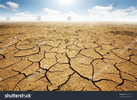 Land Dry Cracked Ground Desert Stock Photo 99291341 Shutterstock