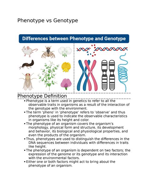 phenotype vs genotype notes phenotype vs genotype phenotype definition phenotype is a term
