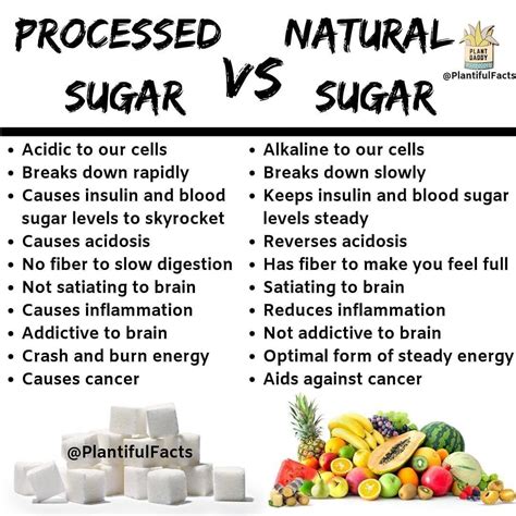 Your Body Converts Simple Sugars In All Forms Including Fruit Sugar