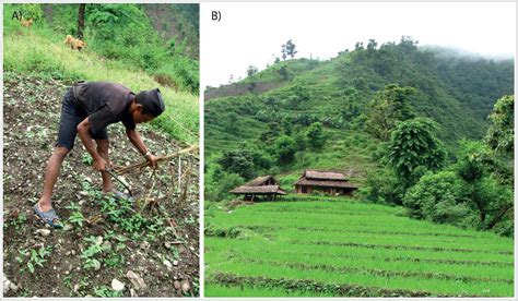 Implications Of Conservation Agriculture For Mens And Womens