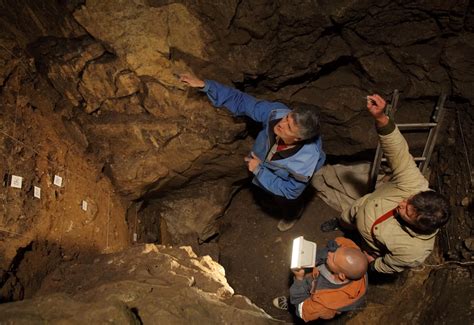 Long After Their Bones Were Gone Neanderthals Dna Survived In Cave