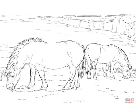 Ausmalbild: Zwei Ponys grasen | Ausmalbilder kostenlos zum ausdrucken