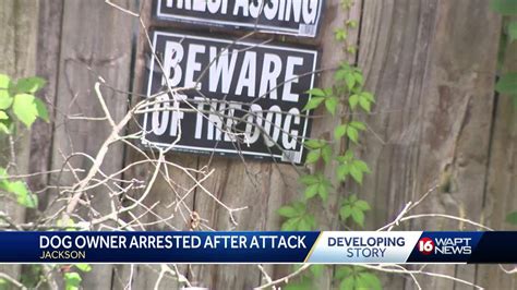 Dog Owner Arrested After Woman Attacked