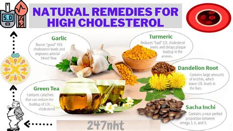natural remedies for high cholesterol youtube