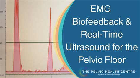 What Is Emg Biofeedback And Rtus Imaging The Pelvic Health Centre By Laura Werner Physiotherapy