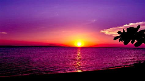 Free Download 67 Pretty Sunset Wallpapers On Wallpaperplay 1920x1200