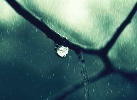 21 Rain Wallpapers Backgrounds Images Pictures Design Trends
