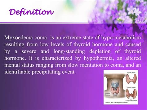 Management Of Myxedema Coma Ppt