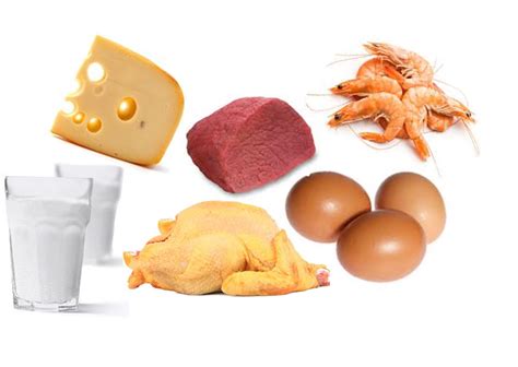 Vitale Voeding Vegetariërs En Vitamine B12