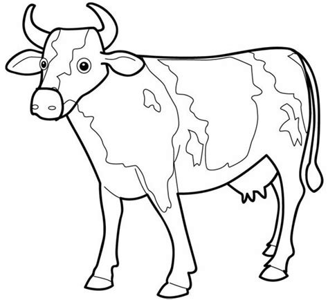 Cow Coloring Pages The Sun Flower Pages