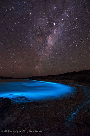 7 Bioluminescent Beaches And Bays That Glow At Night Artofit