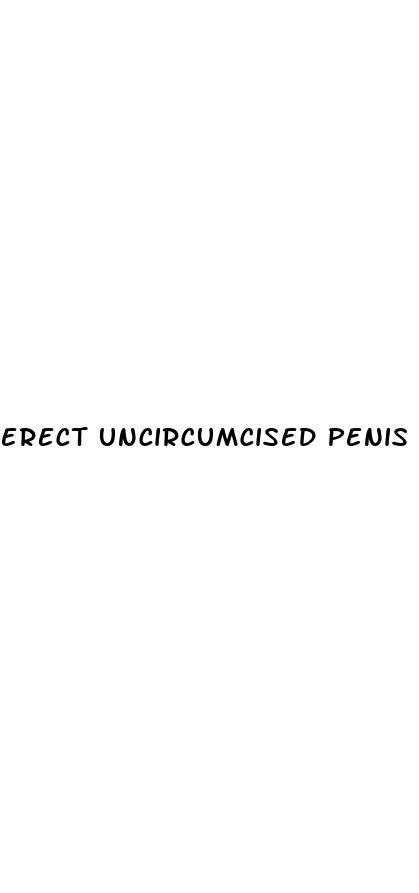Erect Uncircumcised Penis Sex ﻿ecowas