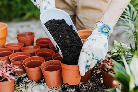 Gardening For Seniors Benefits And 5 Easy Projects To Try Greener Ideal