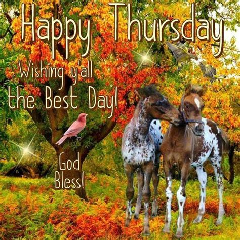 Happy Thursday Happy Thursday Happy Thursday Pictures Thursday
