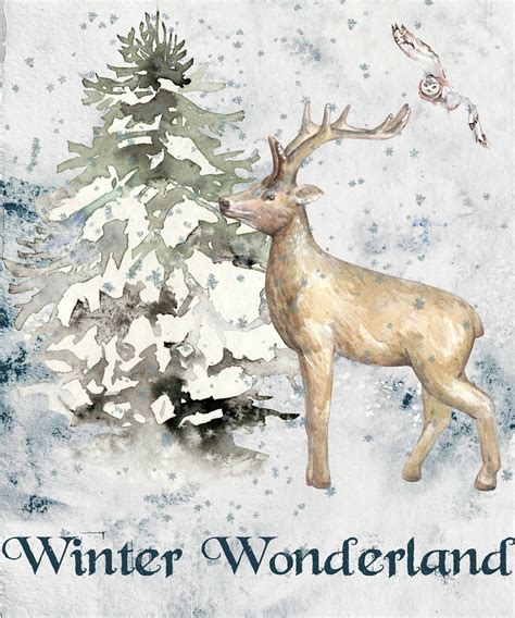Winter Wonderland Free Stock Photo Public Domain Pictures