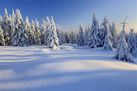 Cool Imageswinter Macbook Forest Landscape Snow