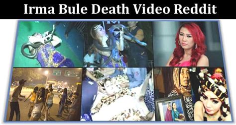 Irma Bule Death Video Reddit Check The Details Of Leaked Video From