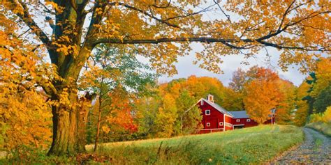 The Changing Leaves Just Look So Perfect Next To A Big Ol Red Barn