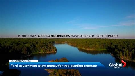 Ontario Government Cancels Program Aimed At Planting 50 Million Trees