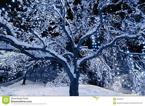 Tree Lights Stock Image Image Of Illuminate Scenery