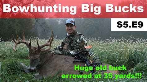 Biggest Bodied Deer Weve Ever Shot Bowhunting Big Bucks