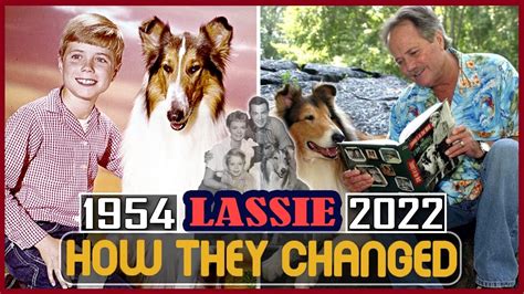 Lassie 1954 Tv Series Cast Then And Now 2022 How They Changed Youtube