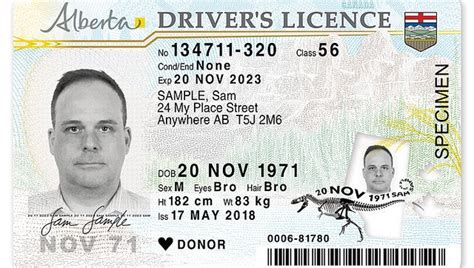 ¿cómo Obtener Una Licencia De Conducir En Canadá ¿cómo Cambiar Tu