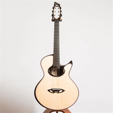 The Extraordinary Casmimi C2 Model In The Full Signature Specs A Very Powerful Guitar With A