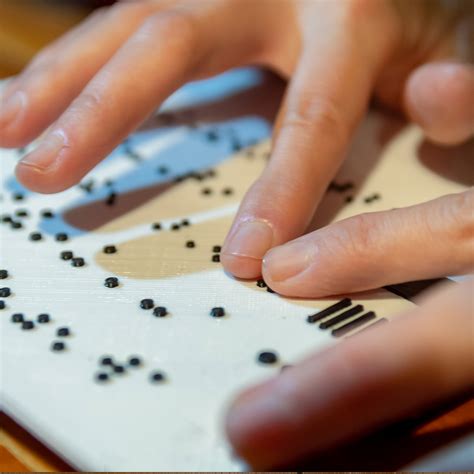 National Braille Literacy Month 2024