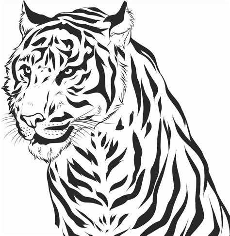 Tiger Malvorlagen Malvorlagen1001de